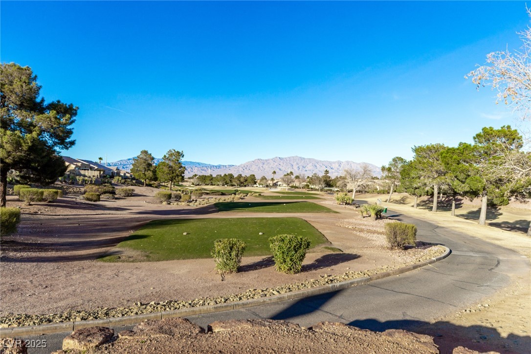 8920 Litchfield Avenue, Las Vegas, Nevada image 44