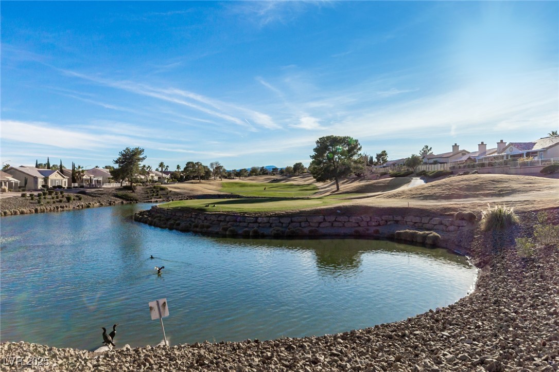 8920 Litchfield Avenue, Las Vegas, Nevada image 43