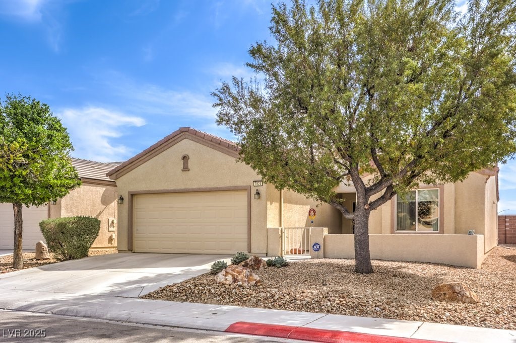 7824 Homing Pigeon Street, North Las Vegas, Nevada image 33