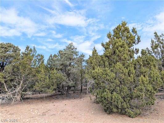 LOT 1-A SIDE HILL PASS, PIOCHE, NV 89043 - Image f6451d6e7f1b1fa7b8b7bcb22a563cfd/1333770226