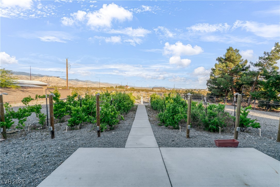 2261 Pampa Avenue, Pahrump, Nevada image 33