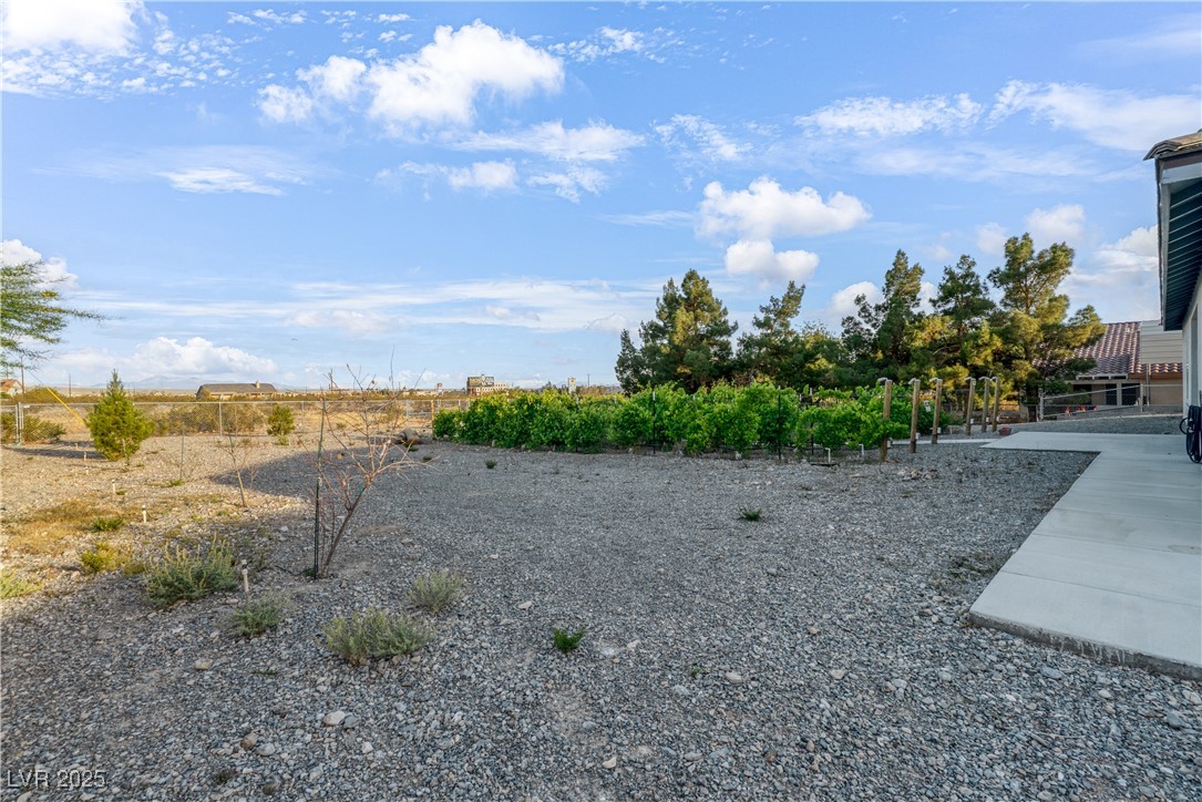 2261 Pampa Avenue, Pahrump, Nevada image 29