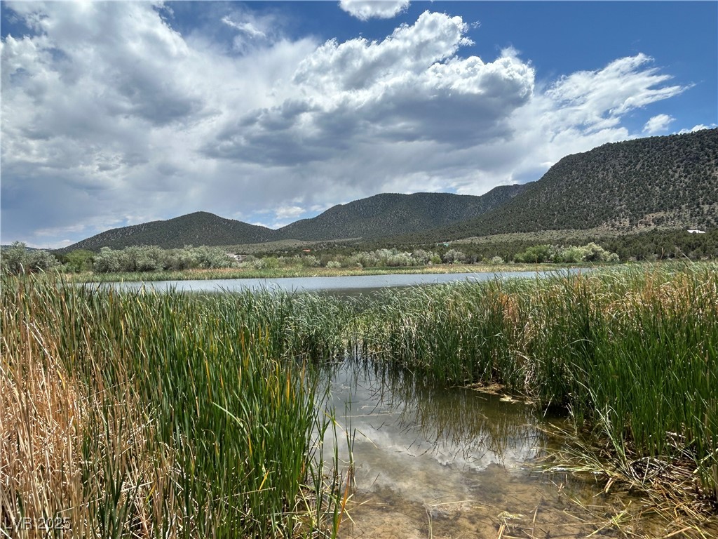 17680 Harmony Lane, Cedar City, Utah image 10