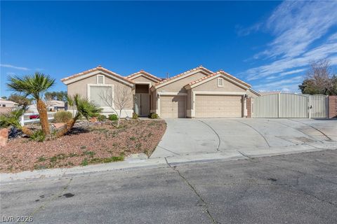 Photo of 10256 Placid Street, Las Vegas, NV 89183 (MLS # 2753854)