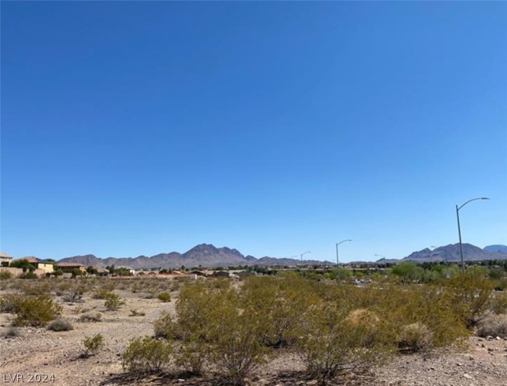 Racetrack And Venice, Henderson, Nevada image 6