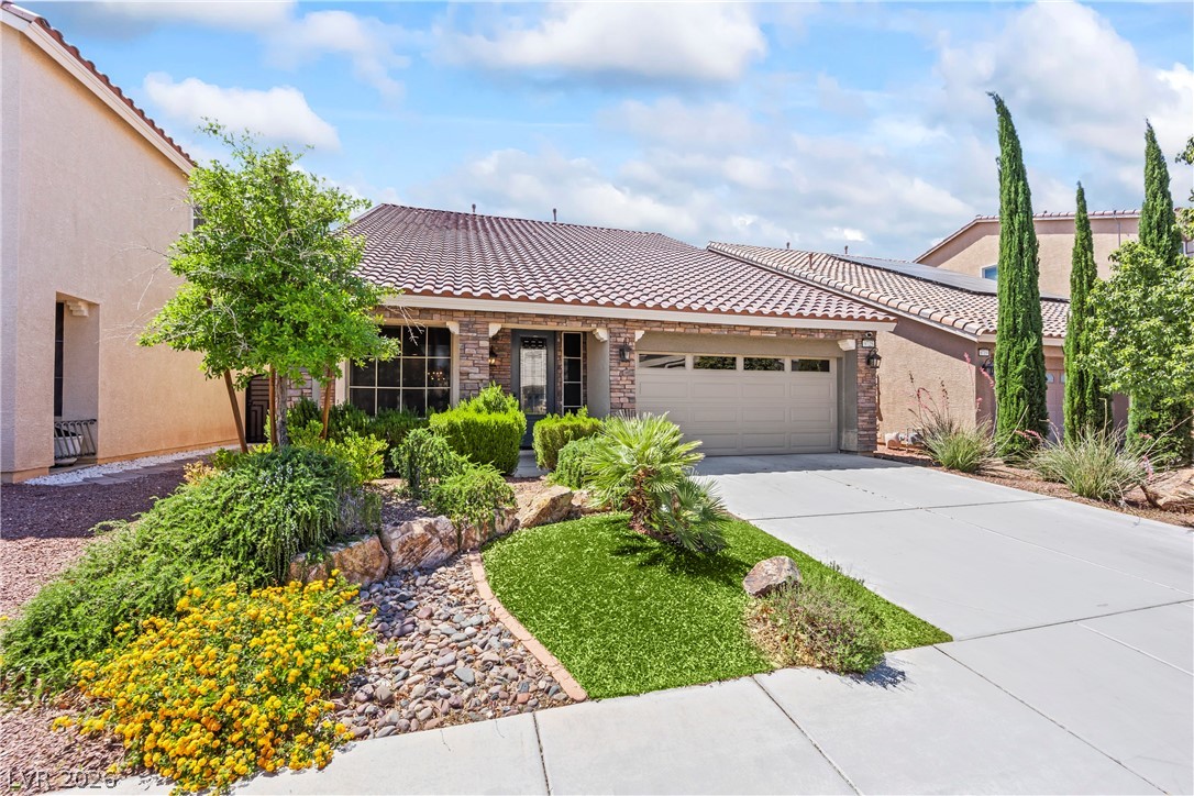 9725 Toad Hollow Street