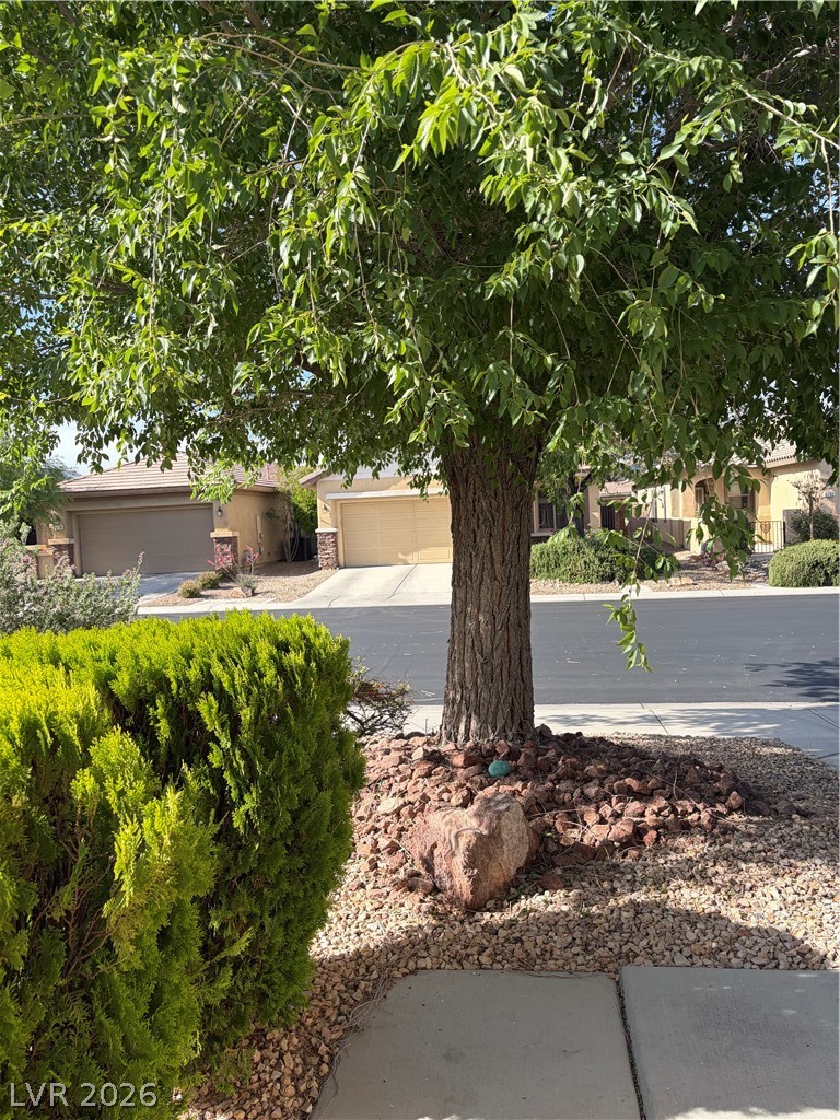 6131 Saddle Horse Avenue