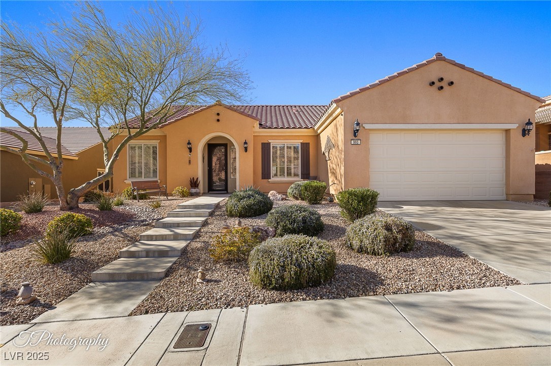 993 Starlight Terrace Way, Mesquite, Nevada image 3