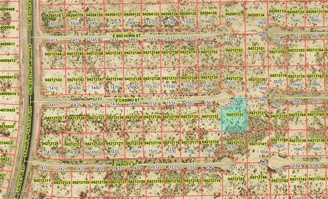 1571 Casino Street Pahrump NV 89048