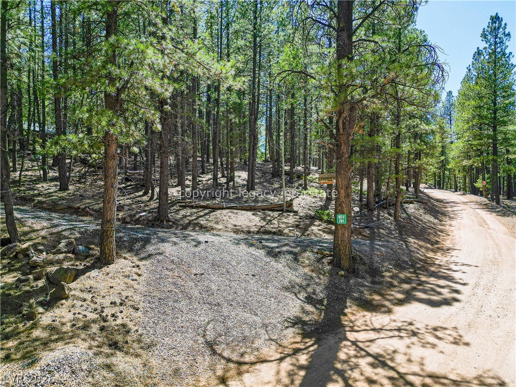 201 W Mammoth View Drive