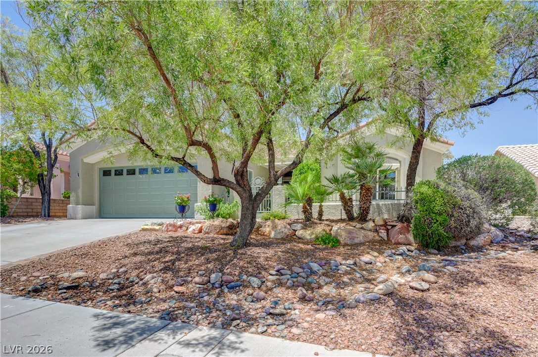 2533 Banora Point Drive