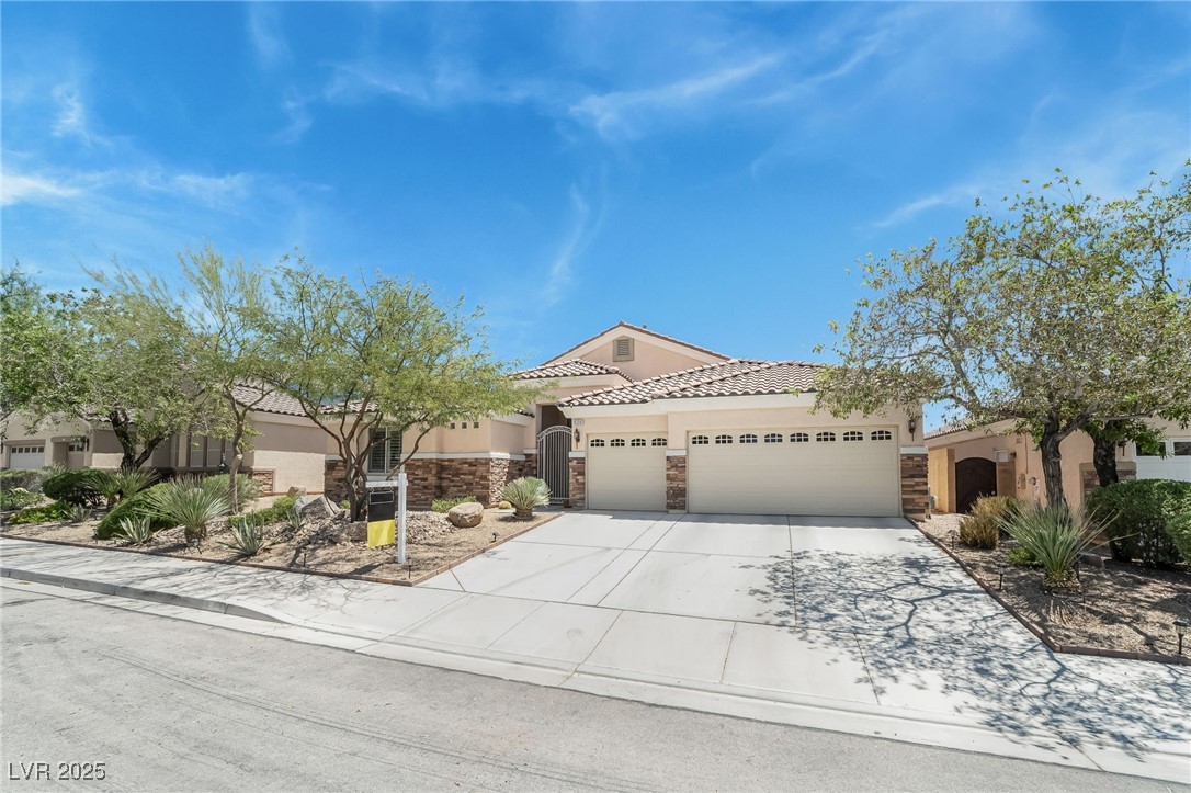9320 Column Cactus Street