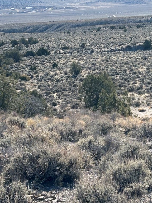 Mabel Trail, Caliente, Nevada image 3