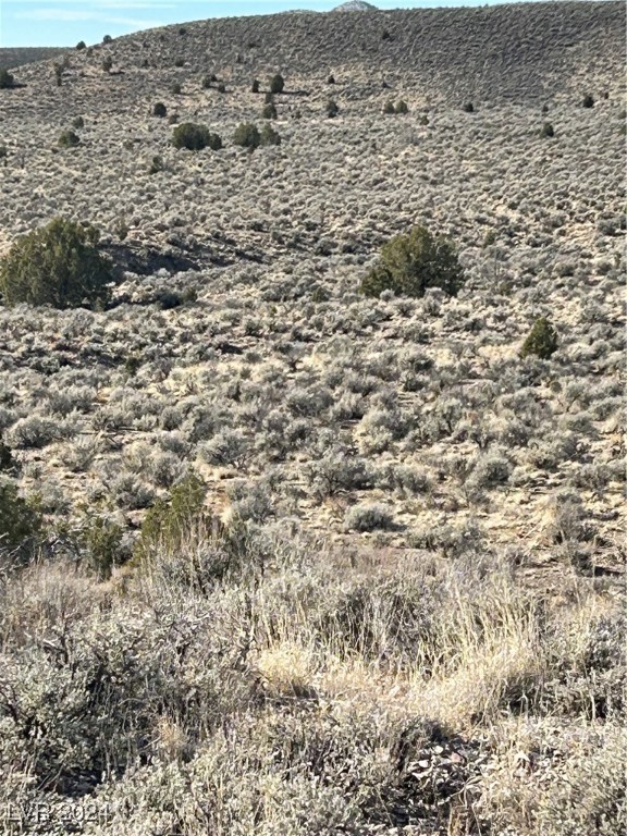 Mabel Trail, Caliente, Nevada image 7