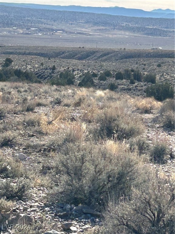 Mabel Trail, Caliente, Nevada image 6