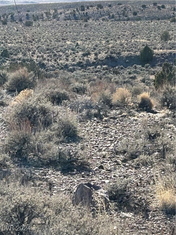 Mabel Trail, Caliente, Nevada image 5