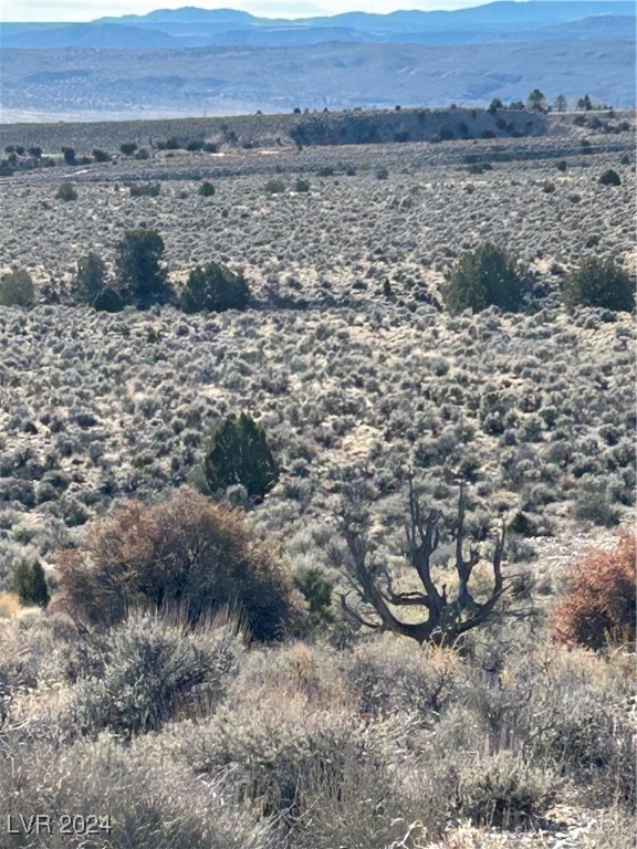 Mabel Trail, Caliente, Nevada image 2