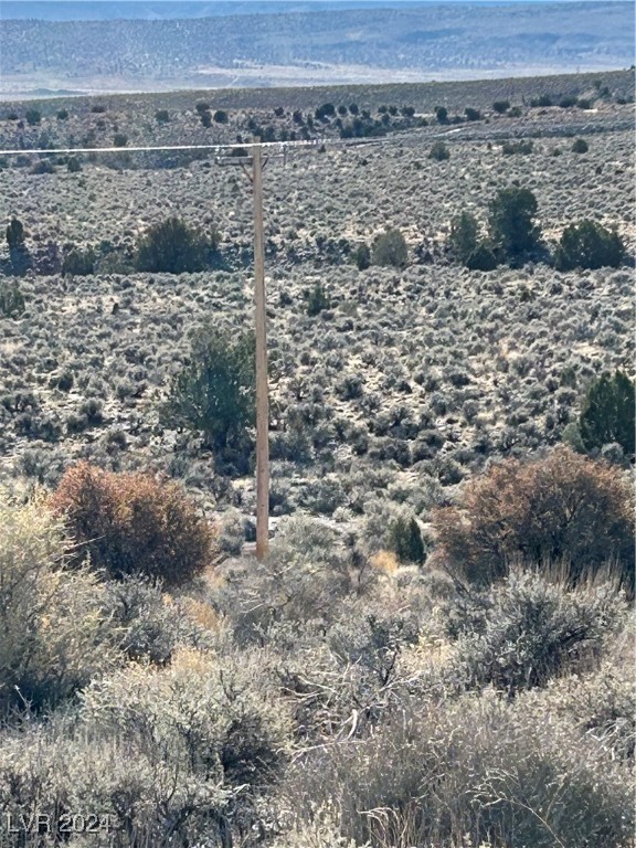 Mabel Trail, Caliente, Nevada image 4