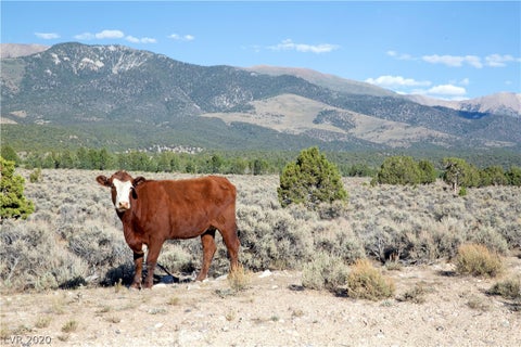 Tiny photo for 5205 E BIRD CREEK Road, Ely, NV 89301 (MLS # 2220438)