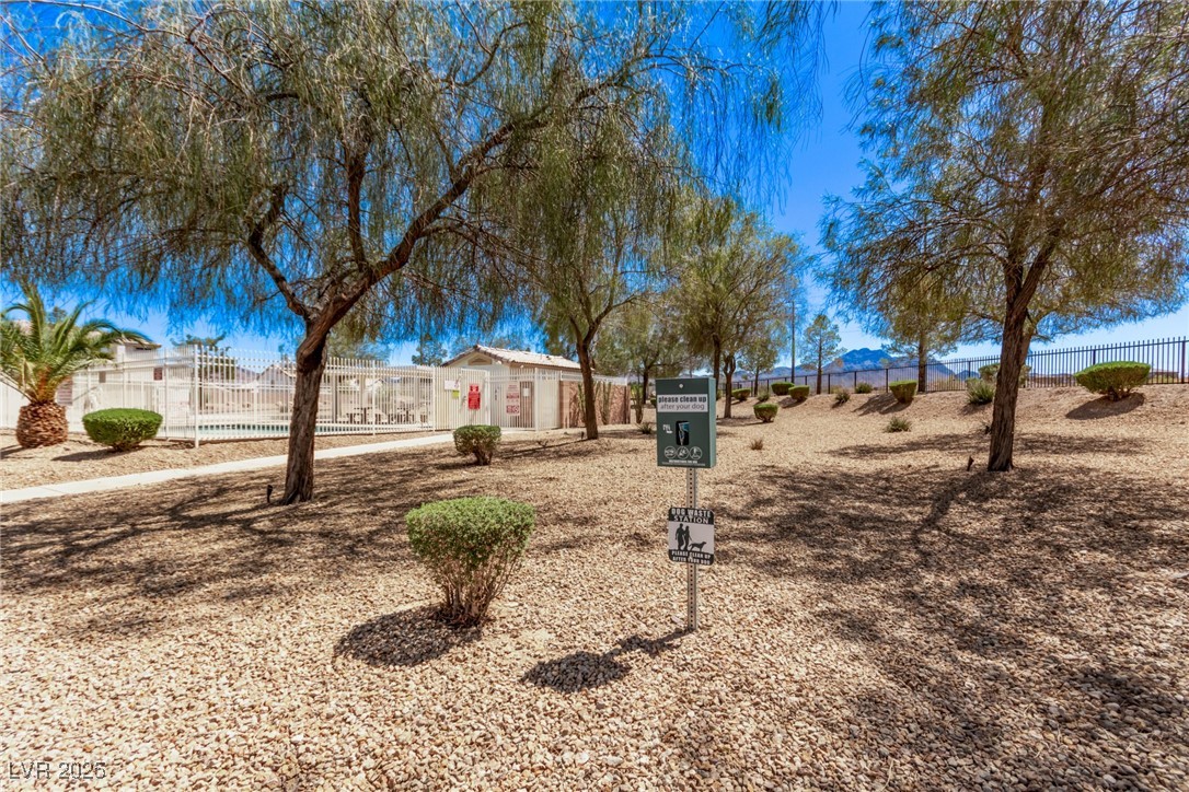 730 Peregrine Falcon Street, Henderson, Nevada image 35