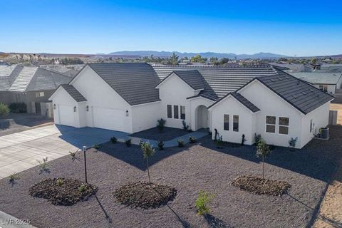 1573 Heights Drive Logandale NV 89021