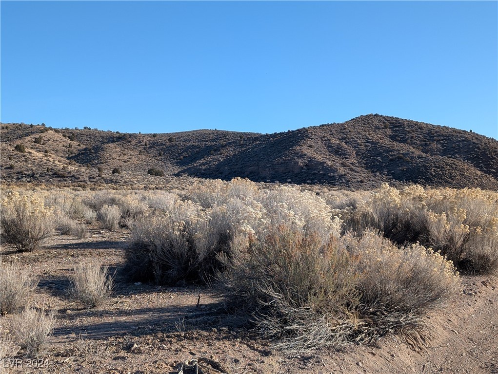 Clover Canyon Rd, Caliente, Nevada image 18