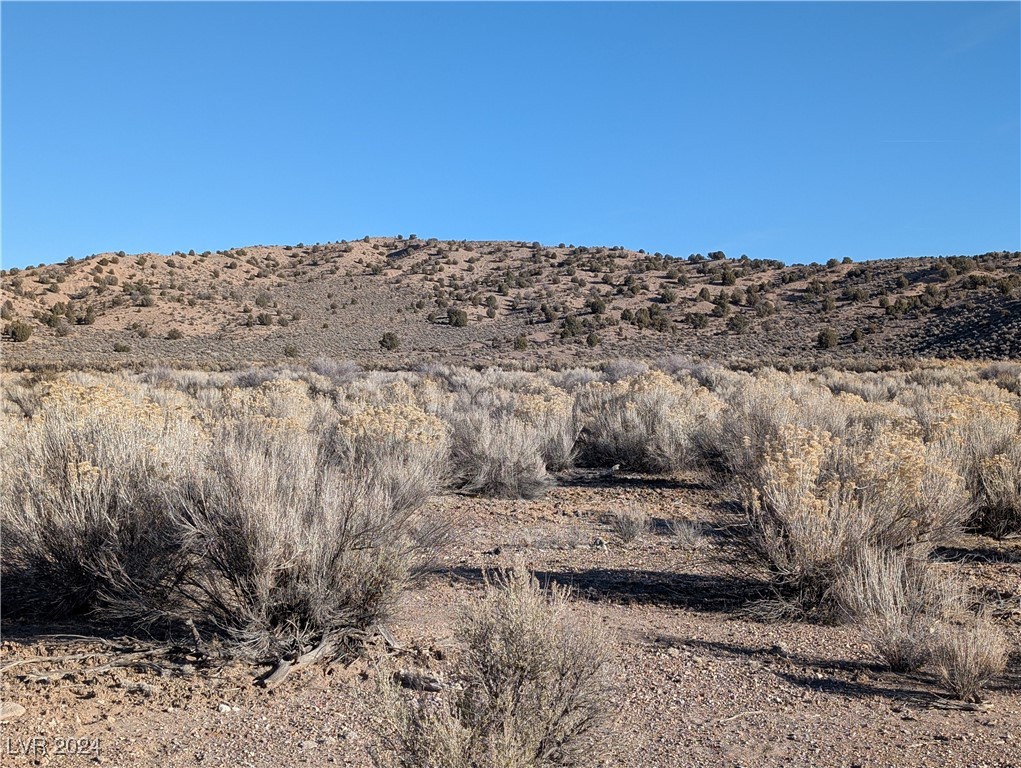 Clover Canyon Rd, Caliente, Nevada image 3