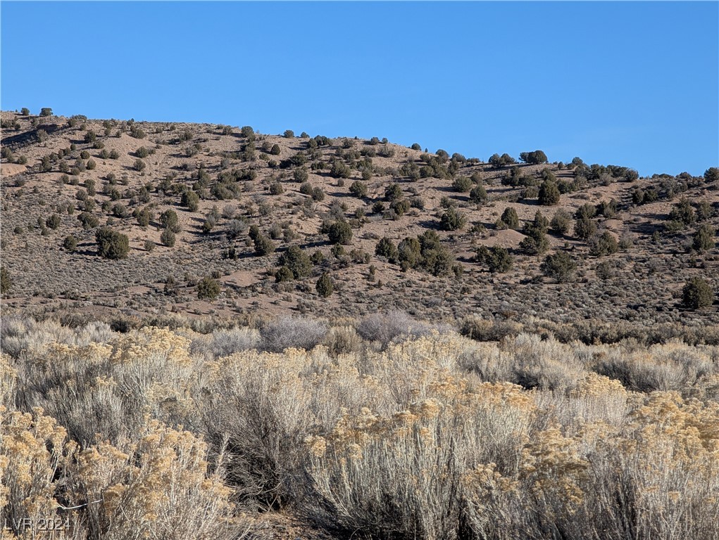 Clover Canyon Rd, Caliente, Nevada image 5