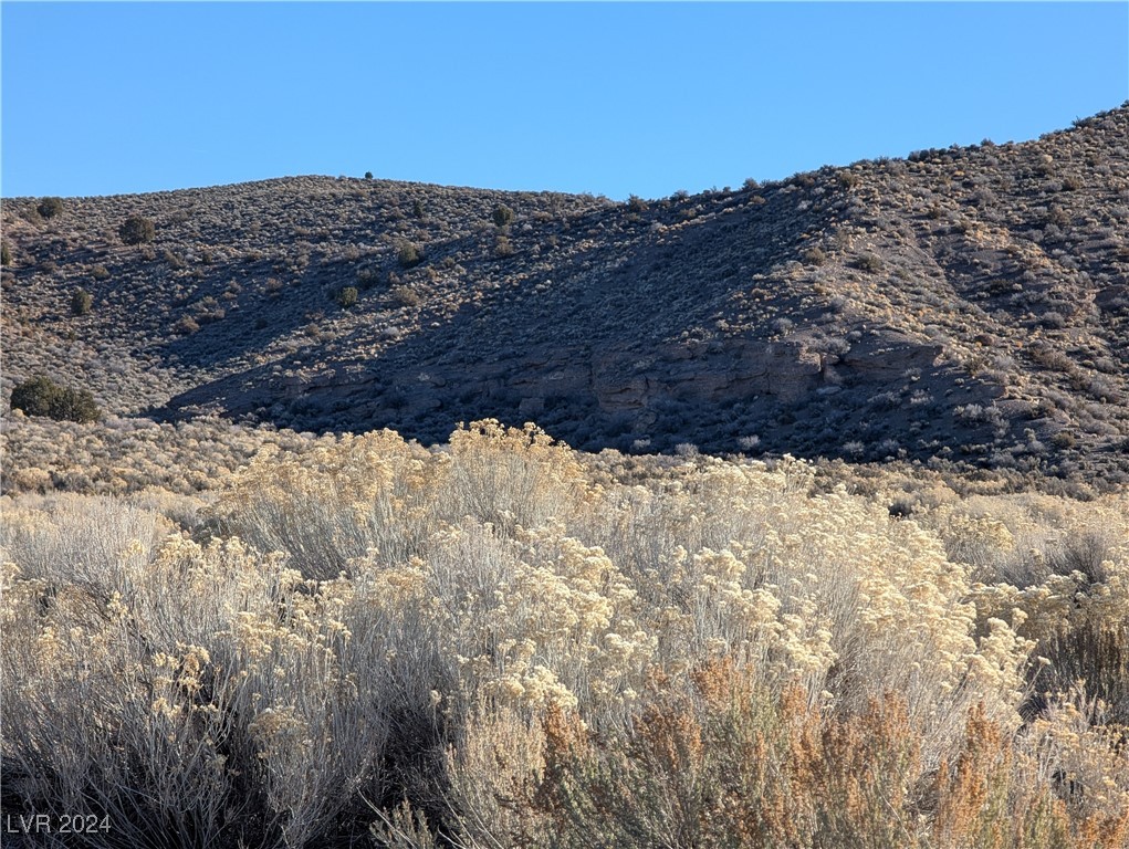 Clover Canyon Rd, Caliente, Nevada image 17