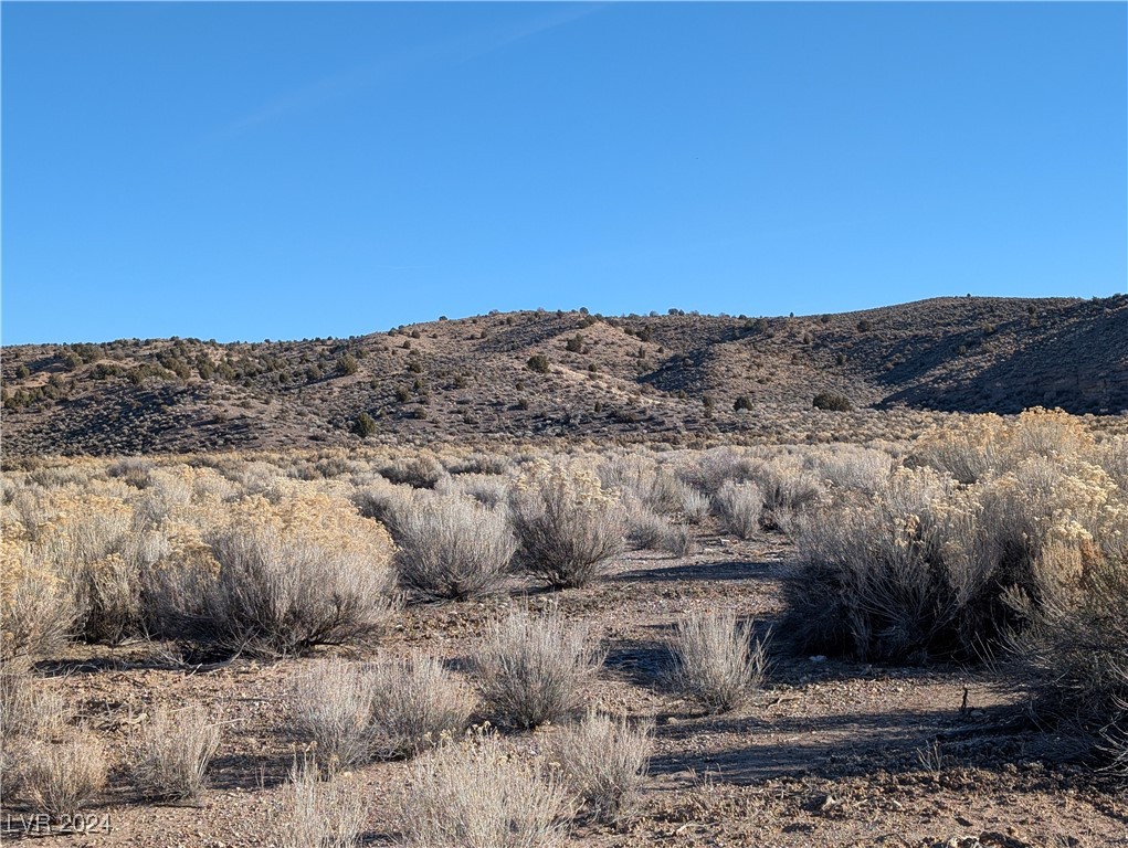 Clover Canyon Rd, Caliente, Nevada image 12