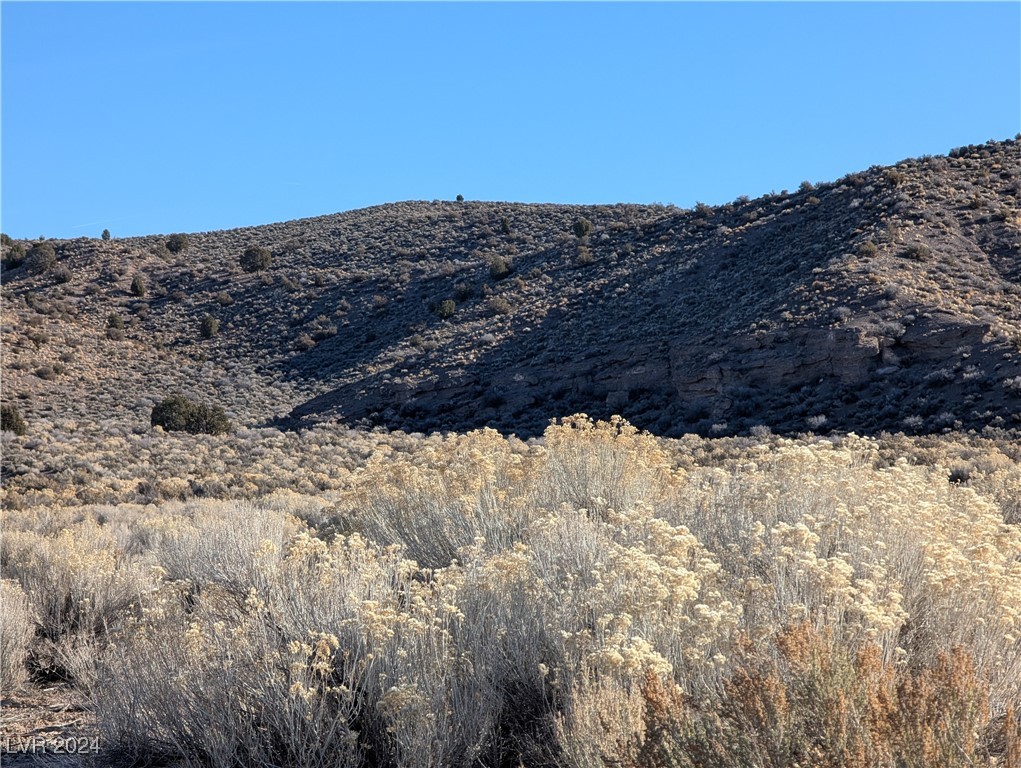 Clover Canyon Rd, Caliente, Nevada image 16