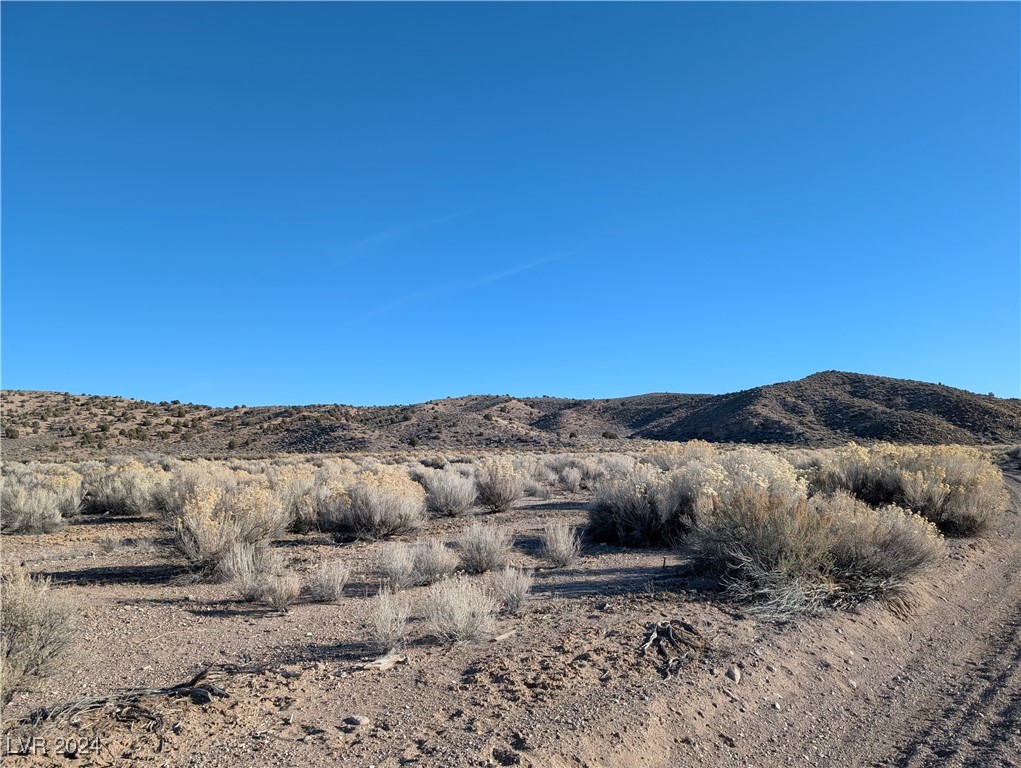 Clover Canyon Rd, Caliente, Nevada image 14