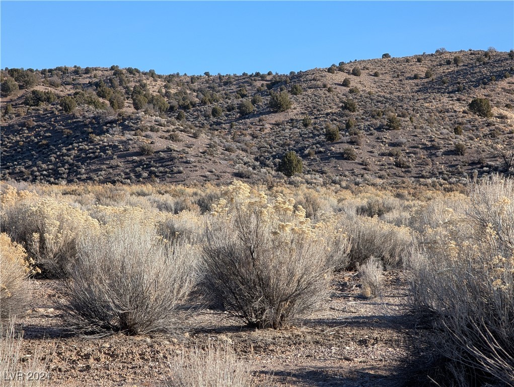 Clover Canyon Rd, Caliente, Nevada image 9