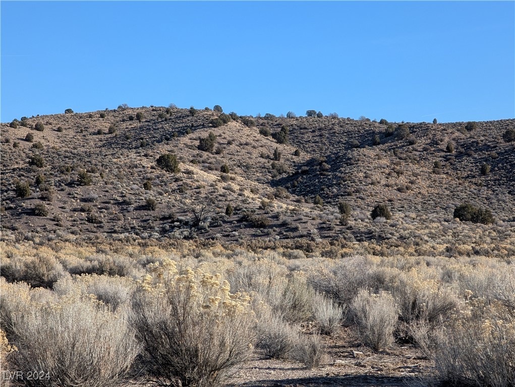 Clover Canyon Rd, Caliente, Nevada image 1