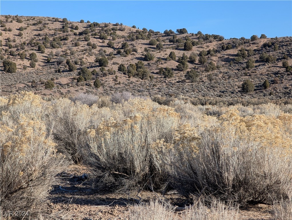 Clover Canyon Rd, Caliente, Nevada image 7