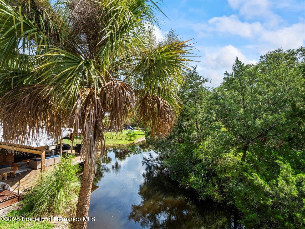 6554 S Beagle Drive, Homosassa, Florida image 17