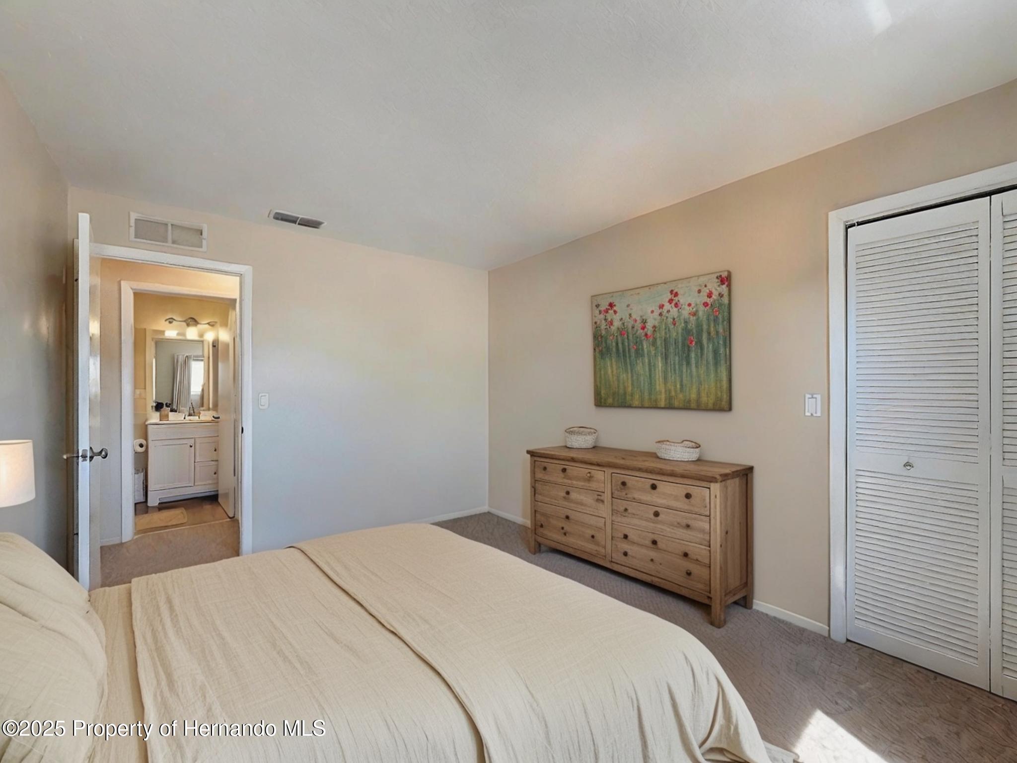 10478 Laval Street, Spring Hill, Florida image 18