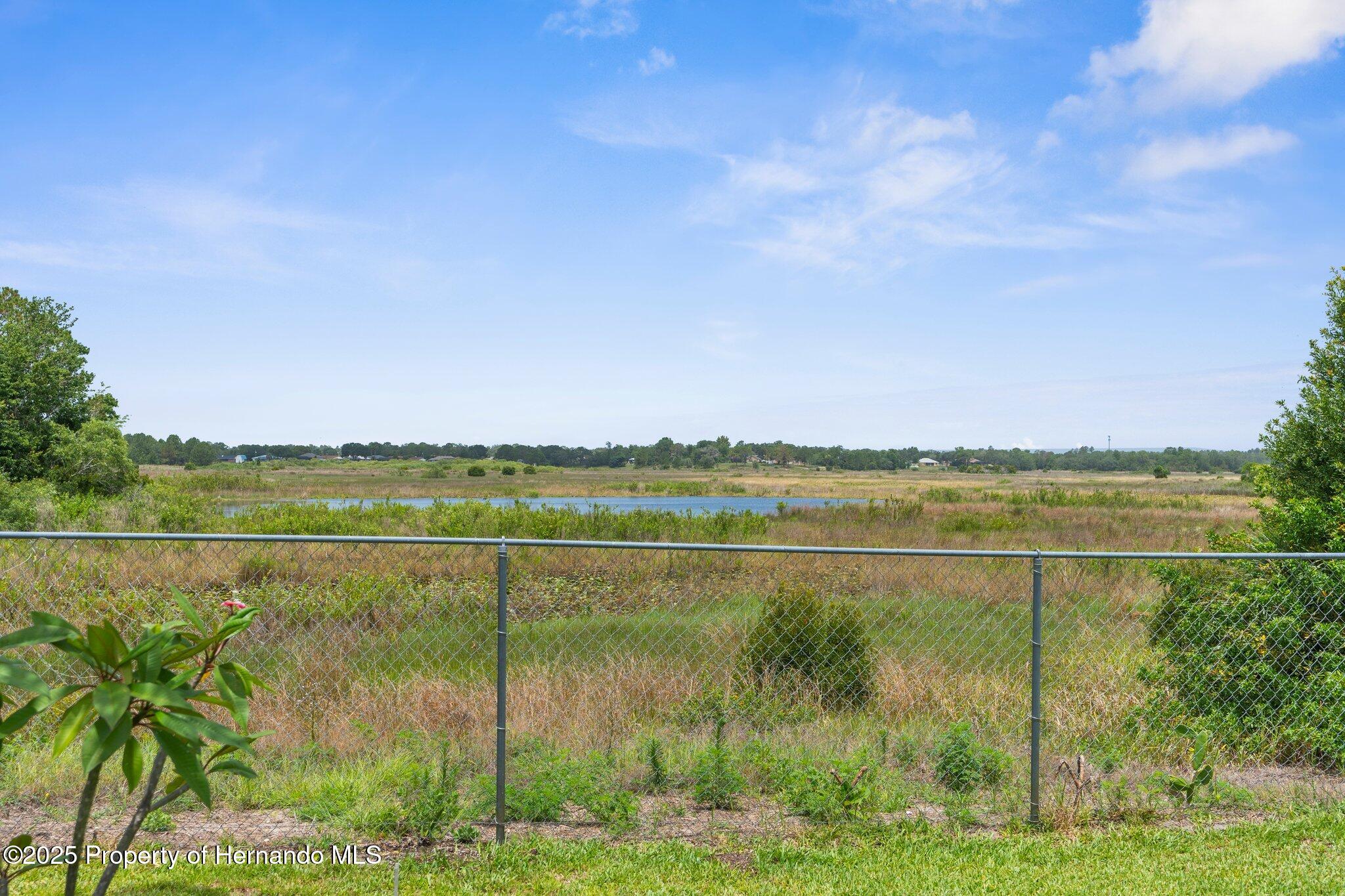 2585 Waterfall Drive, Spring Hill, Florida image 43