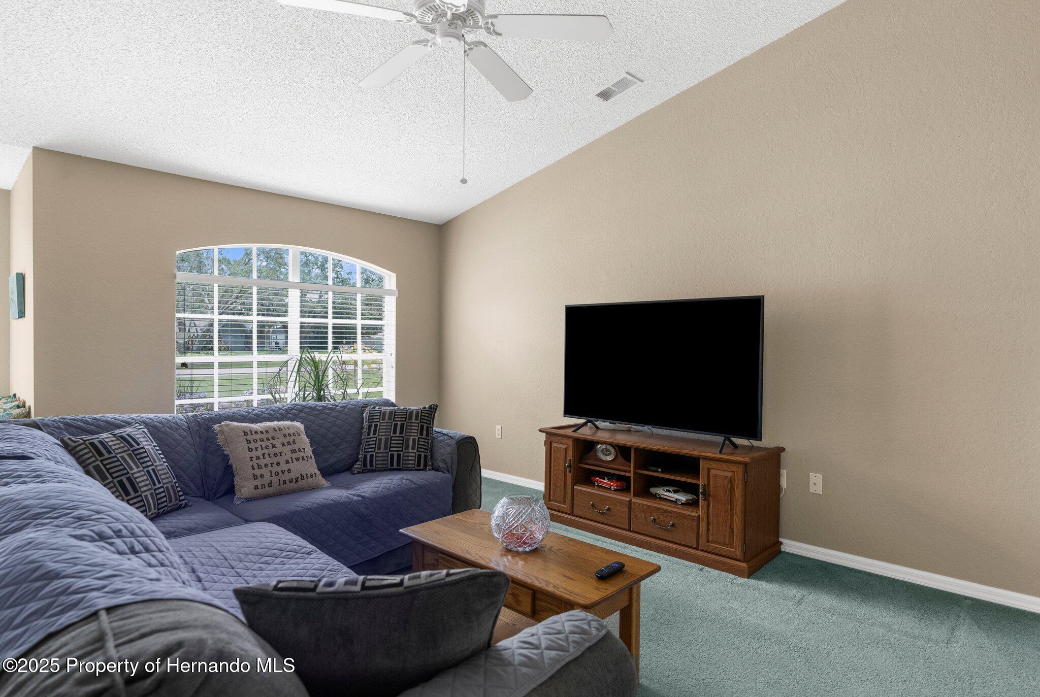 2585 Waterfall Drive, Spring Hill, Florida image 9