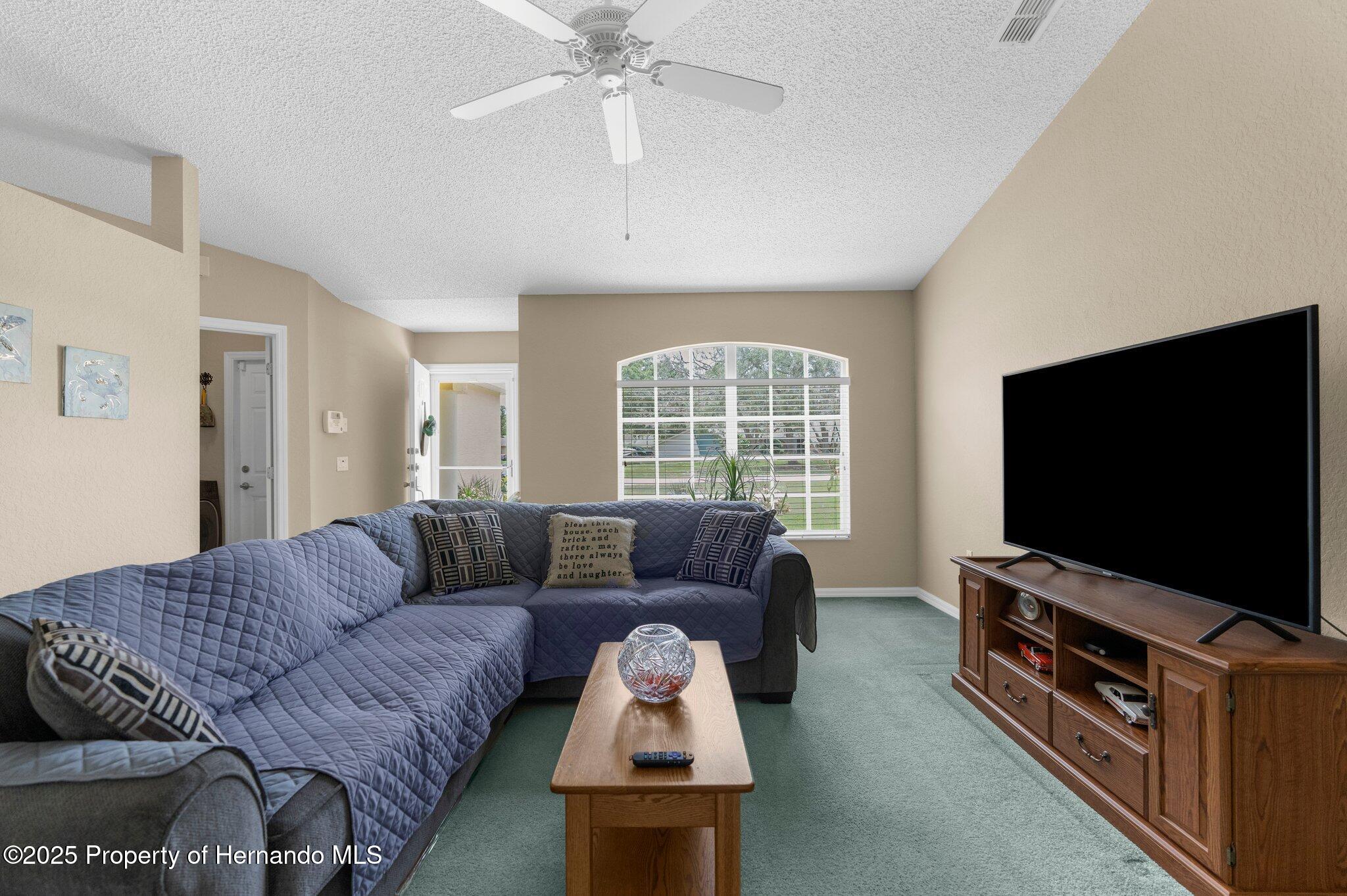 2585 Waterfall Drive, Spring Hill, Florida image 10