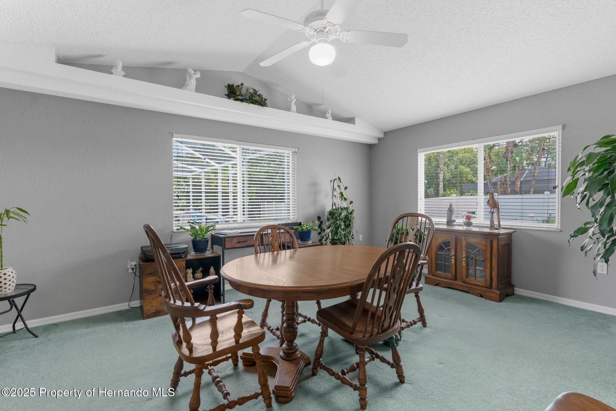 2585 Waterfall Drive, Spring Hill, Florida image 30
