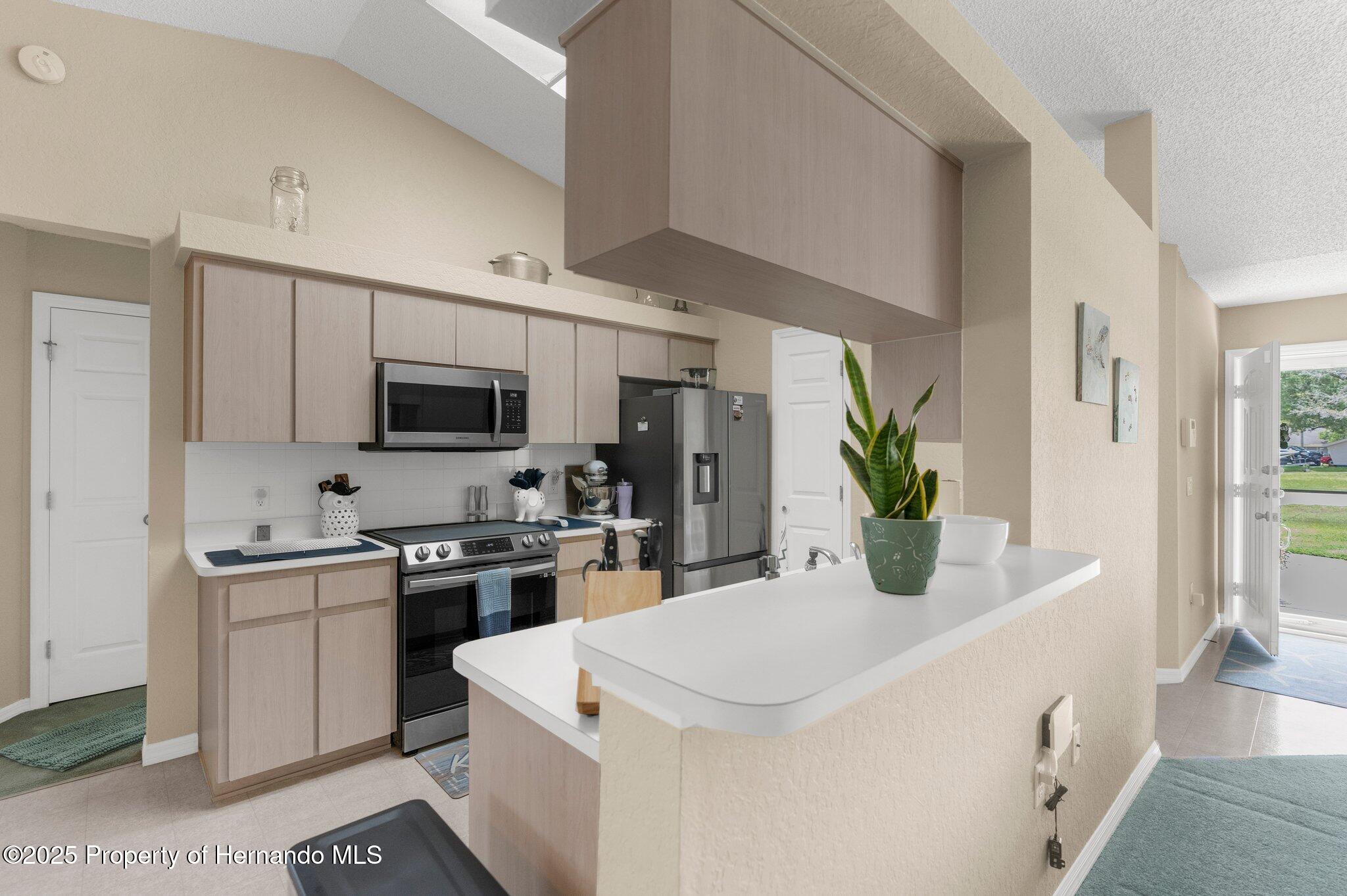 2585 Waterfall Drive, Spring Hill, Florida image 23