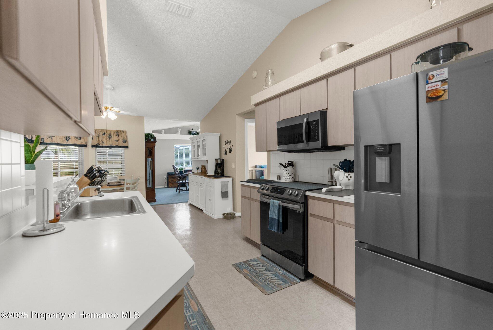 2585 Waterfall Drive, Spring Hill, Florida image 22