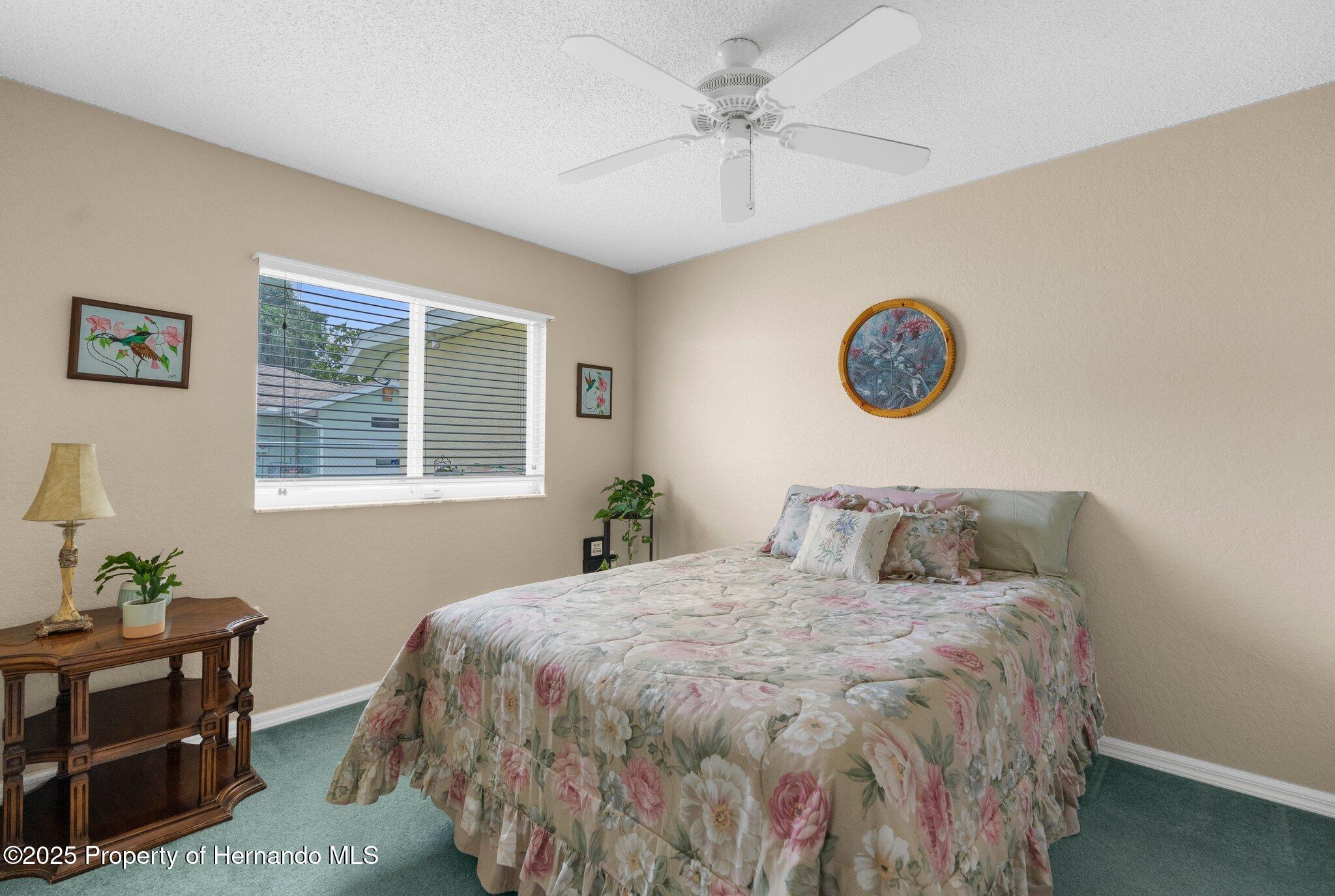 2585 Waterfall Drive, Spring Hill, Florida image 35