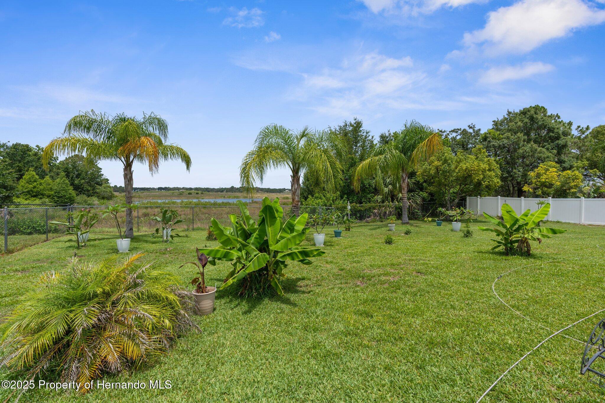 2585 Waterfall Drive, Spring Hill, Florida image 42