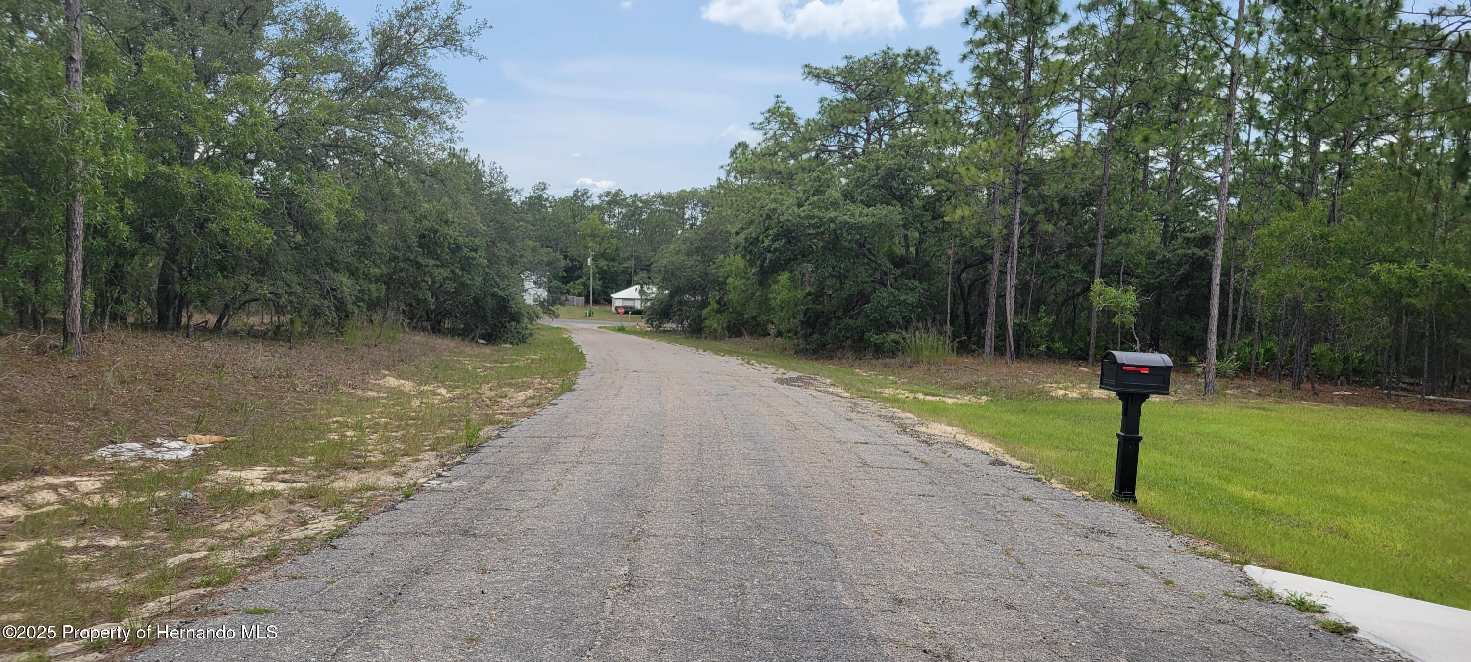 7253 N Dustin Terrace, Citrus Springs, Florida image 2