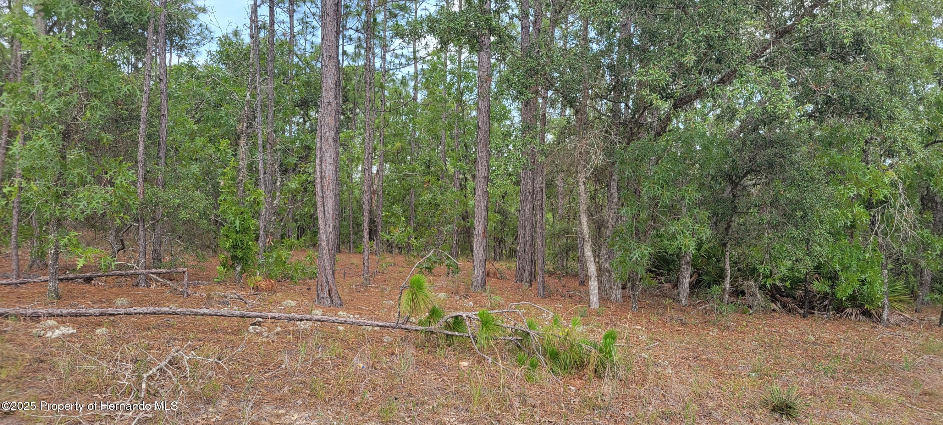 7253 N Dustin Terrace, Citrus Springs, Florida image 1