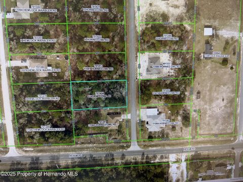 Vacant Land For Sale - Horned Owl Road<br/> Weeki Wachee, FL 34614