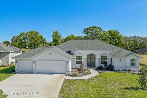 Homes For Sale - 10361 Palmgren Lane<br/> Hernando County, Spring Hill, FL 34608