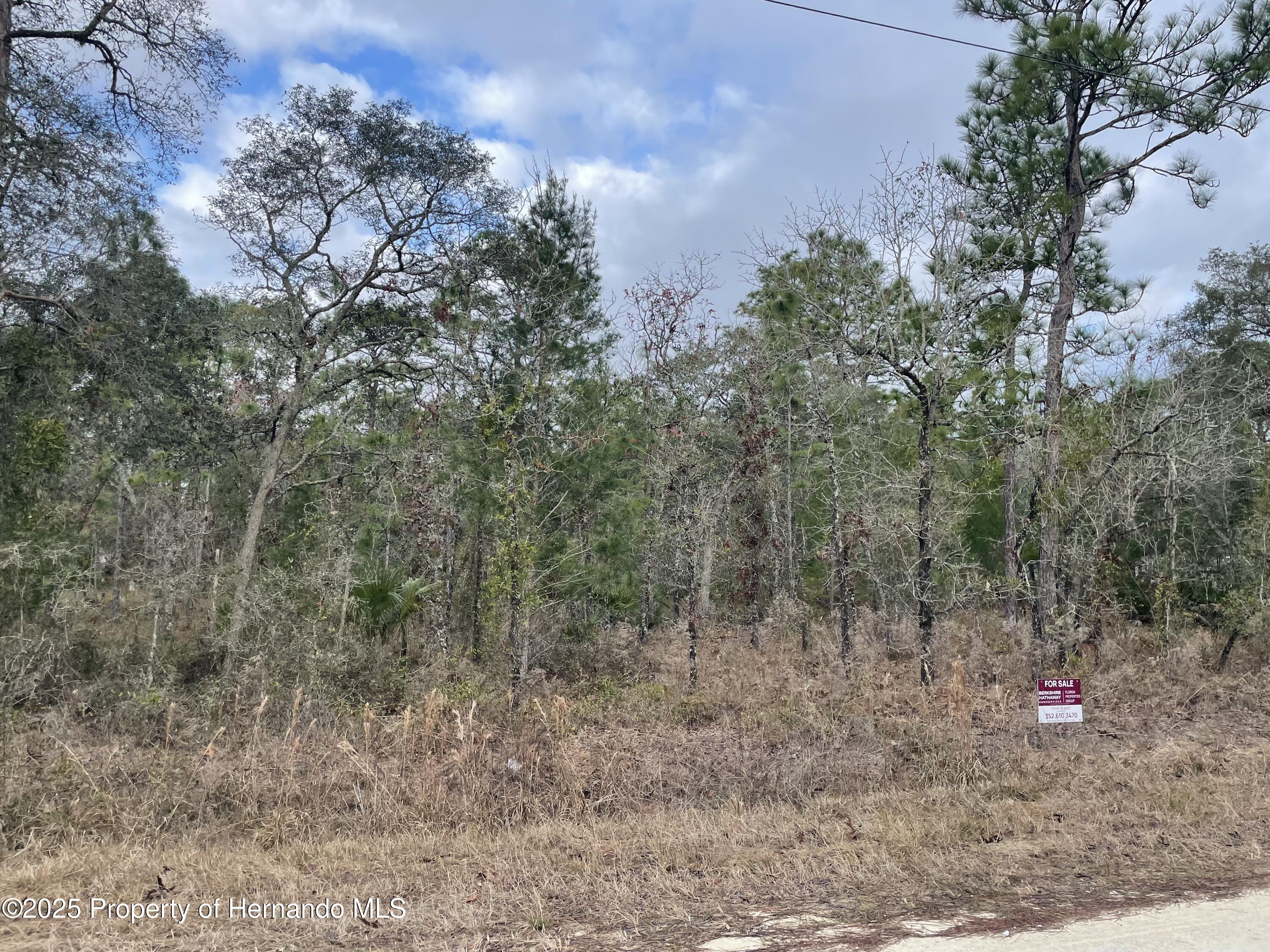 Weeki Wachee, Florida 34614, United States, ,Land,Pending,12879